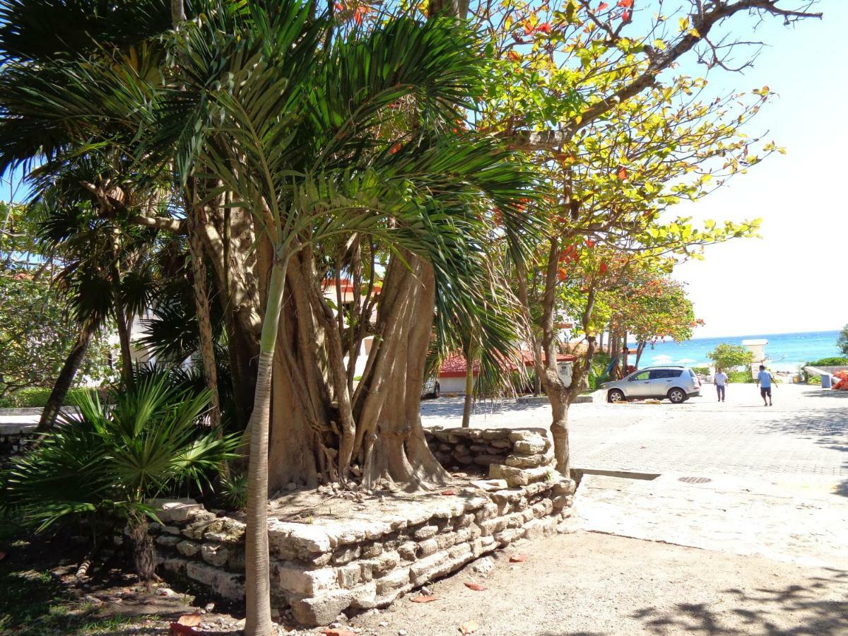 Casa Sonrisas Apartamento Playa del Carmen